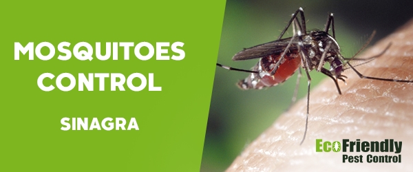 Mosquitoes Control Sinagra 