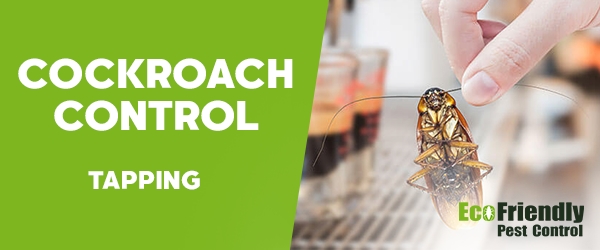 Cockroach Control Tapping  