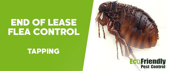 End of Lease Flea Control Tapping 