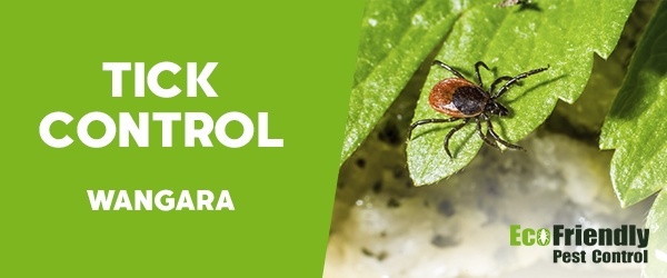 Ticks Control  Wangara