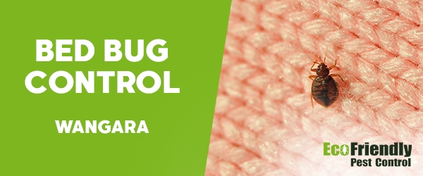 Bed Bug Control  Wangara