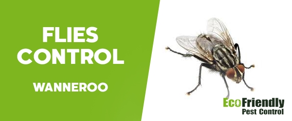 Flies Control Wanneroo 