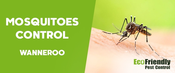 Mosquitoes Control Wanneroo 
