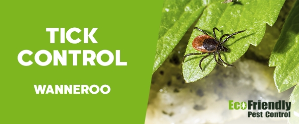 Ticks Control Wanneroo 