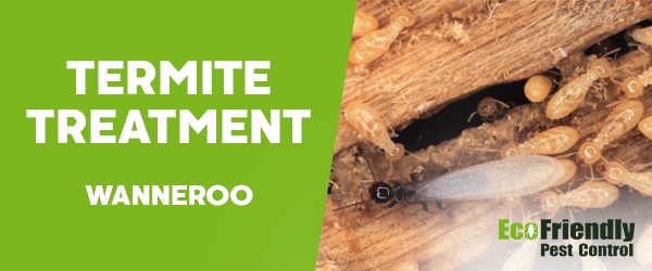 Termite Control Wanneroo 