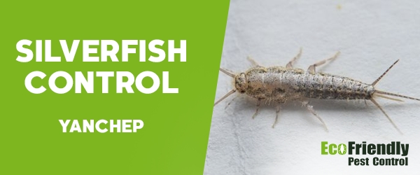 Silverfish Control Yanchep 