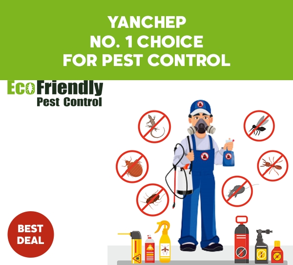 Pest Control Yanchep 