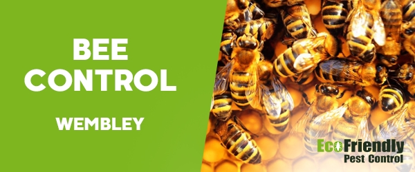 Bee Control Wembley 