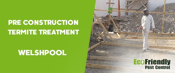 Pre Construction Termite Treatment Welshpool 