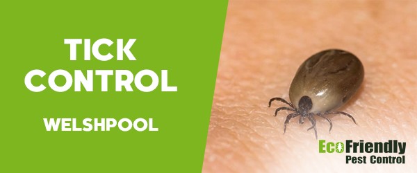 Ticks Control Welshpool 