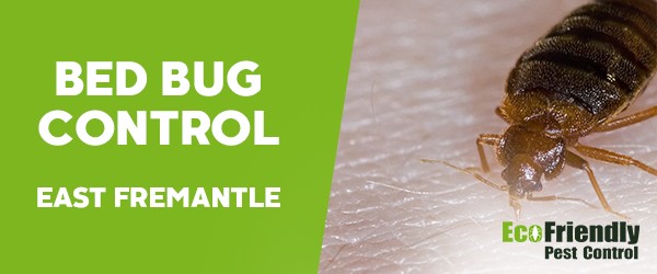 Bed Bug Control East Fremantle 