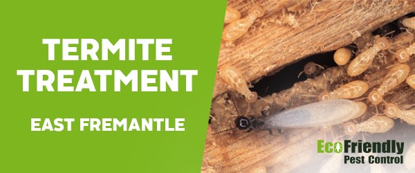 Termite Control East Fremantle 