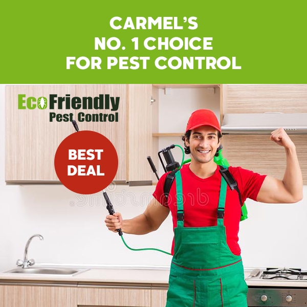 Pest Control Carmel