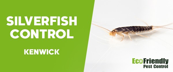 Silverfish Control  Kenwick 