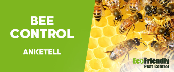 Bee Control Anketell 