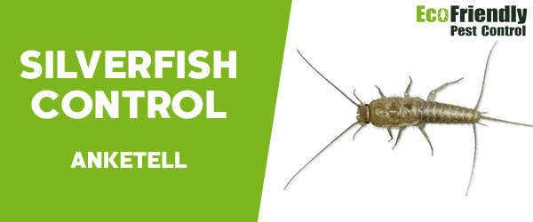 Silverfish Control Anketell 