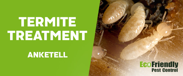 Termite Control Anketell 