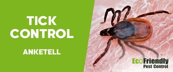 Ticks Control Anketell 