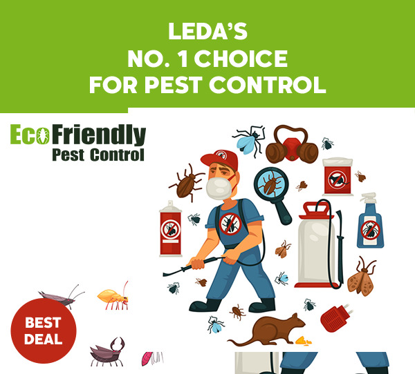 Pest Control Leda 