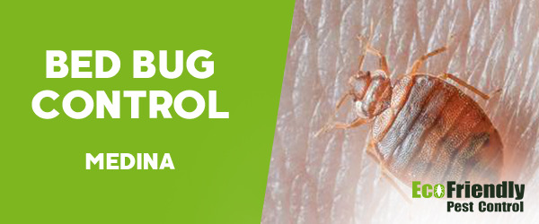 Bed Bug Control Medina