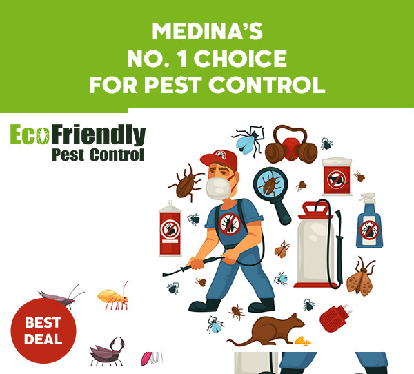 Pest Control Medina