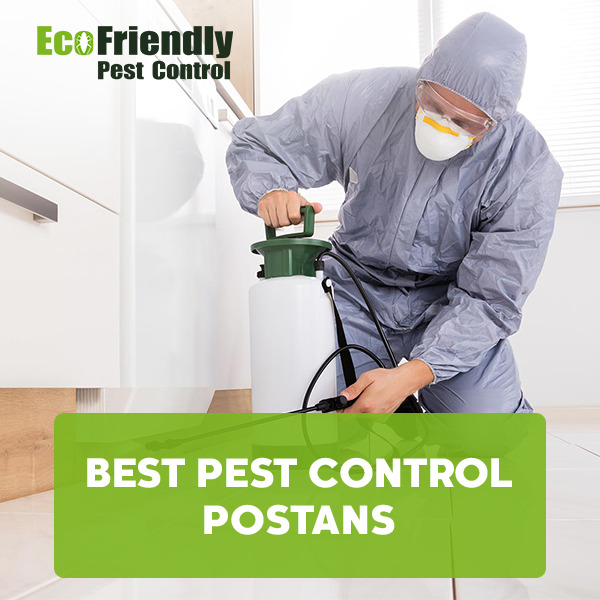 Best Pest Control  Postans