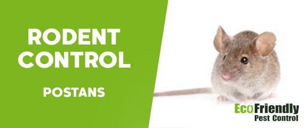 Rodent Treatment  Postans
