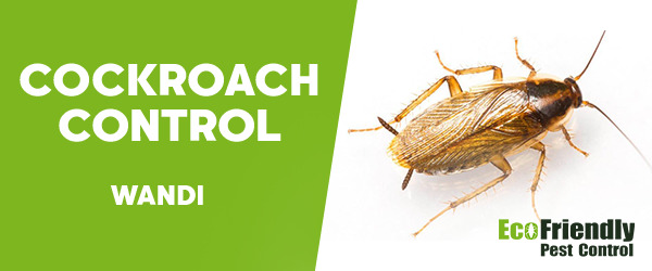 Cockroach Control Wandi  