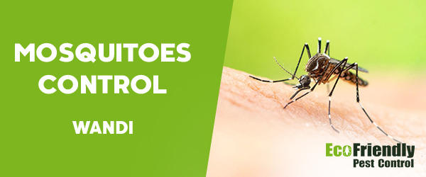 Mosquitoes Control Wandi 