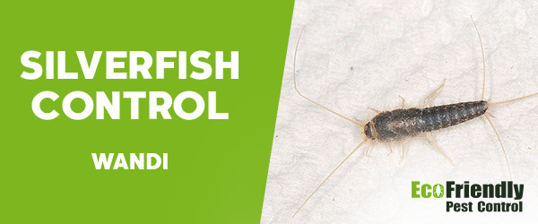 Silverfish Control Wandi 