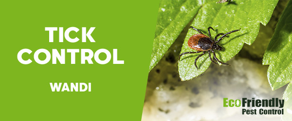 Ticks Control Wandi 