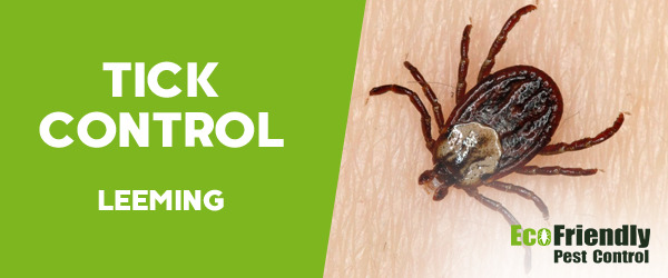 Pest Control Leeming