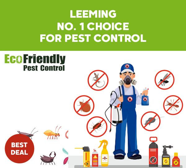 Pest Control Leeming
