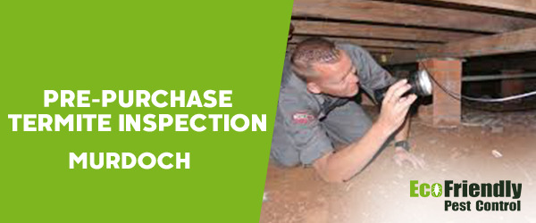 Pre-purchase Termite Inspection  Murdoch