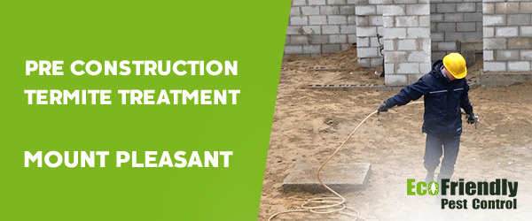 Pre Construction Termite Treatment Mount Pleasant 