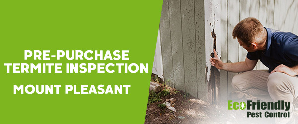Pre-purchase Termite Inspection Mount Pleasant 