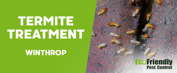 Termite Control  Winthrop