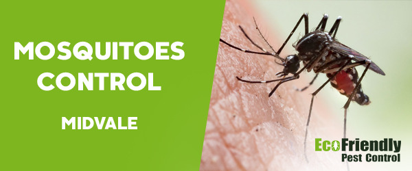 Mosquitoes Control Midvale 