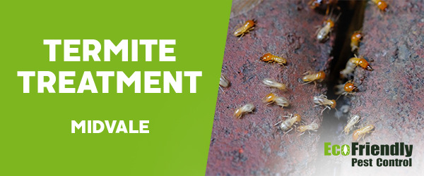 Termite Control Midvale 