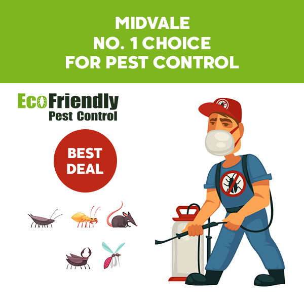 Pest Control Midvale 