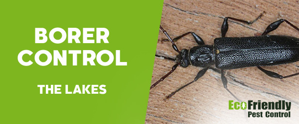 Borer Control  The Lakes