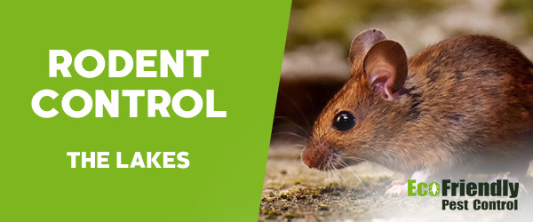 Rodent Treatment  The Lakes