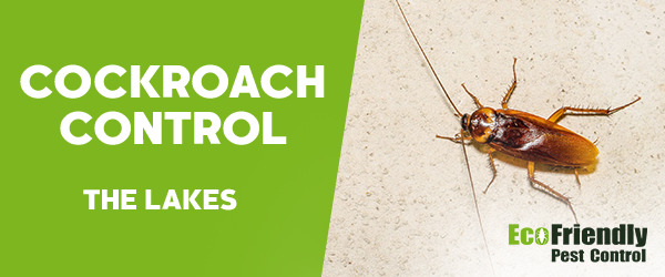 Cockroach Control  The Lakes