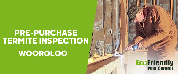 Pre-purchase Termite Inspection Wooroloo 