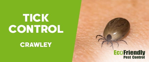 Pest Control Crawley