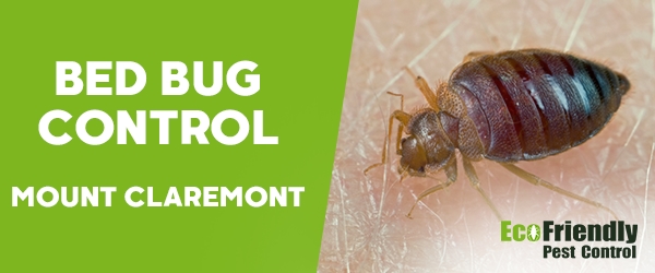 Bed Bug Control Mount Claremont 