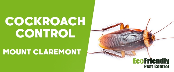 Cockroach Control Mount Claremont  