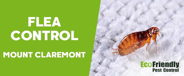 Fleas Control Mount Claremont 