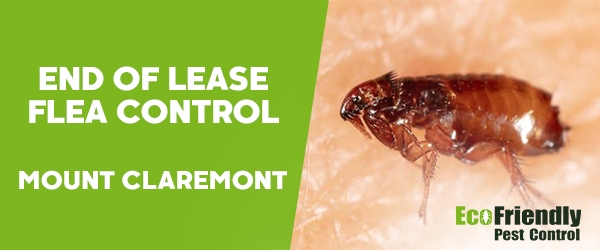 End of Lease Flea Control Mount Claremont 