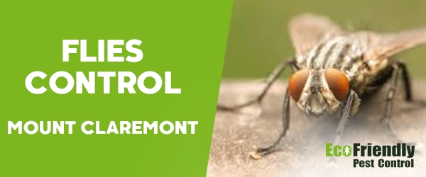 Flies Control Mount Claremont 